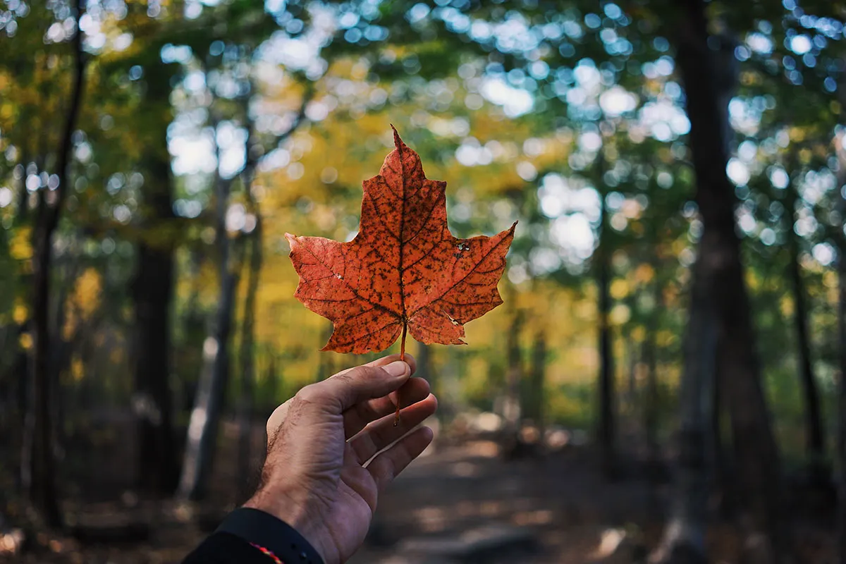 8 coisas que deve fazer numa viagem exploratória ao Canadá antes de imigrar
