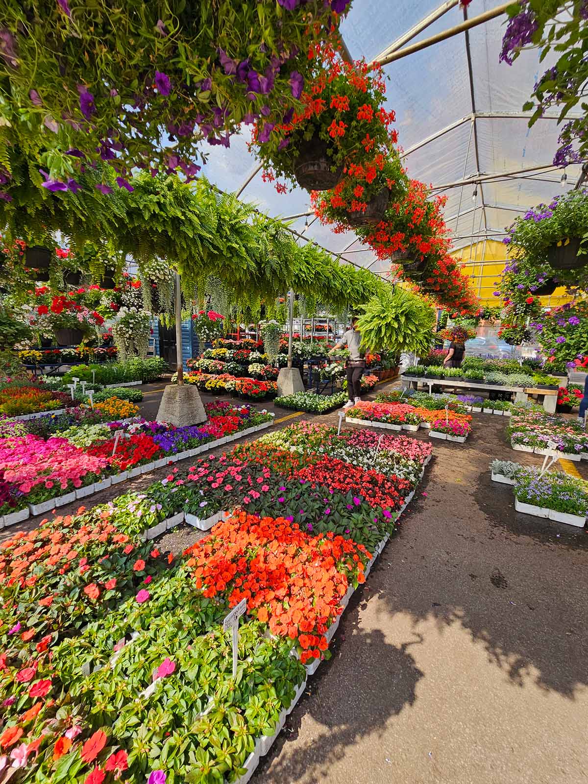 Venda de flores ornamentais no Marché Atwater em 10 de junho de 2023 - Fonte: Arquivo pessoal